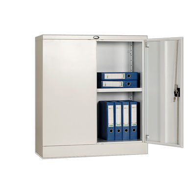 Regular Size Iron Case OHSAS18001 Vertical File Storage